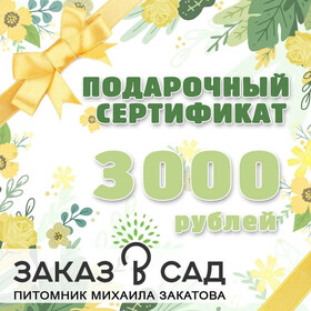 
                https://content.gdesemena.ru/images/catalog/149435_675f6191f9e9048cc0a53968e977235248aa106a3538016baffd99171938ba97.jpg

