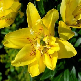 
                https://content.gdesemena.ru/images/catalog/197142_29deeab91183e6ae90ed914b0eb5aa909fcc633045dd494edddeed4b2565faf4.jpg
