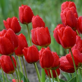 
                https://content.gdesemena.ru/images/catalog/197665_1f3c66d0978ea813fd1a64dd6200395b7f4e5861fa857f86f9fe740274a52ded.jpg
