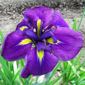 
                https://content.gdesemena.ru/images/catalog/197768_42d811c8638bcbd95371d277bb622f3c1bc6e9bebe83d52360dd35d3cbb9c35b.jpg
