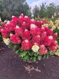 
                https://content.gdesemena.ru/images/catalog/199502_6f9a1f0fb67c34a3a70b6f3fe817aa750c6fc62c1d1cbf98ba25cdd3c6037aab.jpg

