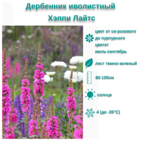 
                https://content.gdesemena.ru/images/catalog/199650_5db3d70f68998c34836c4b7c6e87819171a136da4f9c8d0b6fac92336ed6612c.jpg
