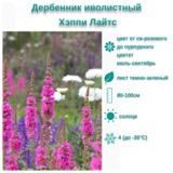 
                https://content.gdesemena.ru/images/catalog/199650_5db3d70f68998c34836c4b7c6e87819171a136da4f9c8d0b6fac92336ed6612c.jpg
