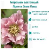 
                https://content.gdesemena.ru/images/catalog/199655_3fb91f3142d1121574957a227724ae7a867f4c596763e7132d35e01ce76e9ba0.jpg
