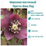 
                https://content.gdesemena.ru/images/catalog/199656_b51bd09c07c81aa44cbc35acd5cf1df8caa0cf1314eb28b6522ce50b0a3c0188.jpg
