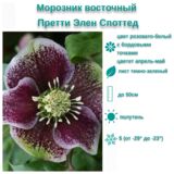 
                https://content.gdesemena.ru/images/catalog/199657_0efc3787b3208bff7ba57008c417a0c4bcb602cc2f531d9b9e44714633ea8441.jpg
