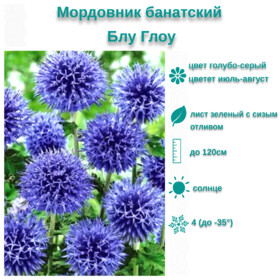 
                https://content.gdesemena.ru/images/catalog/199660_78fe46342d86d156114fbab8f4a37872371551dc68fa7e87d1fbb176b60cb2a8.jpg
