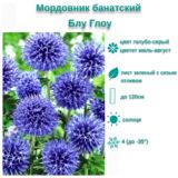 
                https://content.gdesemena.ru/images/catalog/199660_78fe46342d86d156114fbab8f4a37872371551dc68fa7e87d1fbb176b60cb2a8.jpg
