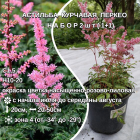 
                https://content.gdesemena.ru/images/catalog/199661_8a3fefa33924407e6c44f2cd82408a4f03a77cf0543c1517925edb56043253f8.jpg
