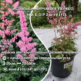 
                https://content.gdesemena.ru/images/catalog/199661_8a3fefa33924407e6c44f2cd82408a4f03a77cf0543c1517925edb56043253f8.jpg
