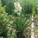 
                https://content.gdesemena.ru/images/catalog/199721_779478587efdcebda272958329b63ed5ce653734e3a850409a12097c96f353a1.jpg
