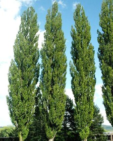 
                https://content.gdesemena.ru/images/catalog/200025_c7d3bbbe5daefe38ed04f2d911d34fe516faf6b1d5998d8371c277ce1e9e3dd0.jpg
