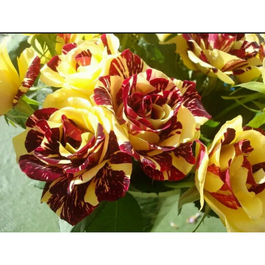 симсалабим