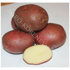 Картофель семенной Изюминка (2 кг)