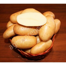 Картофель семенной Фрителла (2 кг)