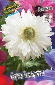 Анемона Coronaria Mount Everest, 5/6 (1 шт.)