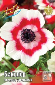Анемона Coronaria Bicolor, 5/6 (1 шт.)