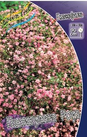 Гипсофила метельчатая Paniculata Rose (1 шт.)