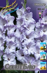 Гладиолус Sweet Blue, 12/14 (1 шт.)