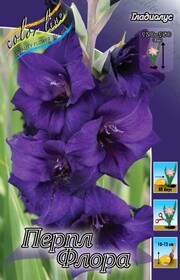 Гладиолус Purple Flora, 12/14 (1 шт.)