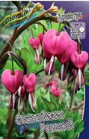 Дицентра великолепная Spectabilis Pink (1 шт.)