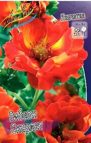 Лапчатка Gibson’s Scarlet (1 шт.)