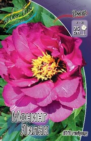 Пион ИТО-гибрид Itoh Morning Lilac, 2/3 n (1 шт.)