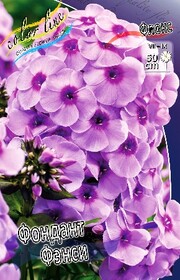 Флокс метельчатый Fondant Fancy (1 шт.)