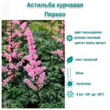 
                https://content.gdesemena.ru/images/catalog/57813_36ede5e8a0c41be45dccc8968be5a433171f802c5c8be8d6b4b69ff615914cf8.jpg
