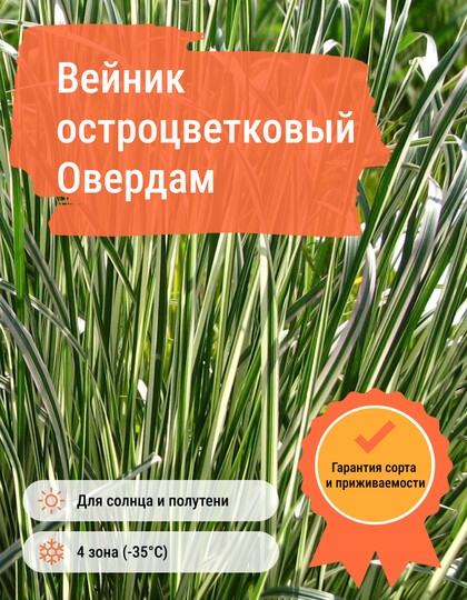 
                https://content.gdesemena.ru/images/catalog/57985_c4c342f7459acbb53eabc7f709008ce4f150b2b8b7a0d1059bc74adcfe92410c.jpg

