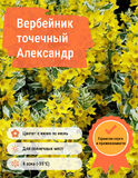 
                https://content.gdesemena.ru/images/catalog/57990_8017cb82aa5878ba2f3c047d4dbd0c18ad35f505ca89464e89acd394f855e235.jpg
