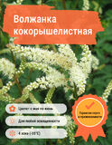 
                https://content.gdesemena.ru/images/catalog/58046_146a513c3a3c606d6c63858fd3bb1bfa47dc3a19dd9d711c8a10b833acc677f4.jpg
