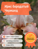 
                https://content.gdesemena.ru/images/catalog/58610_9df4abd18f2f913252faac8829bbfd2cf03a10244422a0a678941aa3fa518aa8.jpg
