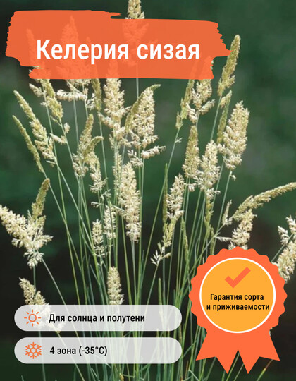 
                https://content.gdesemena.ru/images/catalog/58649_b7941776bafce86a23a95974506b894d1660e51ff811ed03569ad4036ffc4ced.jpg
