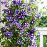 
                https://content.gdesemena.ru/images/catalog/58702_e797d27d8db76870719f46a175ed7fa8c020330f23098c16a24b3166e2212db6.jpg
