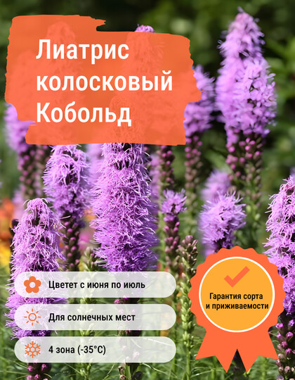 
                https://content.gdesemena.ru/images/catalog/58814_07371bde79502bb3c2f2575402e3811ff7c26d9d248ad4b7a06bbf59349ef60d.jpg
