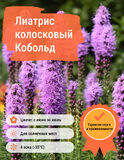 
                https://content.gdesemena.ru/images/catalog/58814_07371bde79502bb3c2f2575402e3811ff7c26d9d248ad4b7a06bbf59349ef60d.jpg
