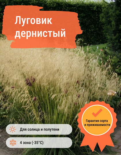 
                https://content.gdesemena.ru/images/catalog/58903_68fb96b6644b7d3c3e4098277c20166c1bf3836ff9312d74ee0f50fe8b686466.jpg

