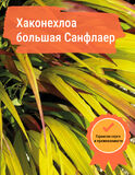 
                https://content.gdesemena.ru/images/catalog/59672_7fcb497819429d973249b4871f1e550efd3e04a4cb85083e0054a80b34b3c1de.jpg
