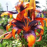 
                https://content.gdesemena.ru/images/catalog/61371_63e09a4766a5807b2503e12067b10b2f5146b4f5e6e6882a943a8cb1991425b7.jpg

