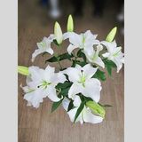 
                https://content.gdesemena.ru/images/catalog/61615_cf22492a42f87745eb32c90513f0f0d333b742a725caac13c3dd9dce24d29480.jpg
