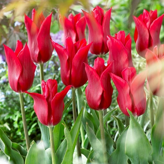 
                https://content.gdesemena.ru/images/catalog/64523_fe1e8b0f48f277dc9a4bddbc862a69aedf022297b62fcc0d0a11ef7e4429a636.jpg
