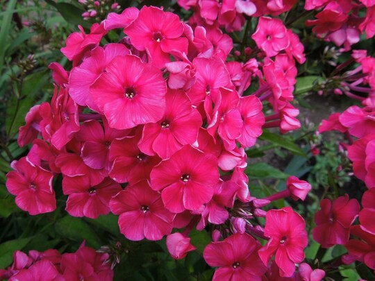 
                https://content.gdesemena.ru/images/catalog/68312_547a142183e7be2c67969634a99e4ad2ca7d45aab5bf18866fa8ac389ac15963.jpg
