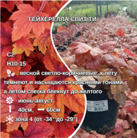 
                https://content.gdesemena.ru/images/catalog/69499_e5493bd379163e4c2da4e7866fe1301557d482d8cf37edaaa4c70cf45d8b61b3.jpg
