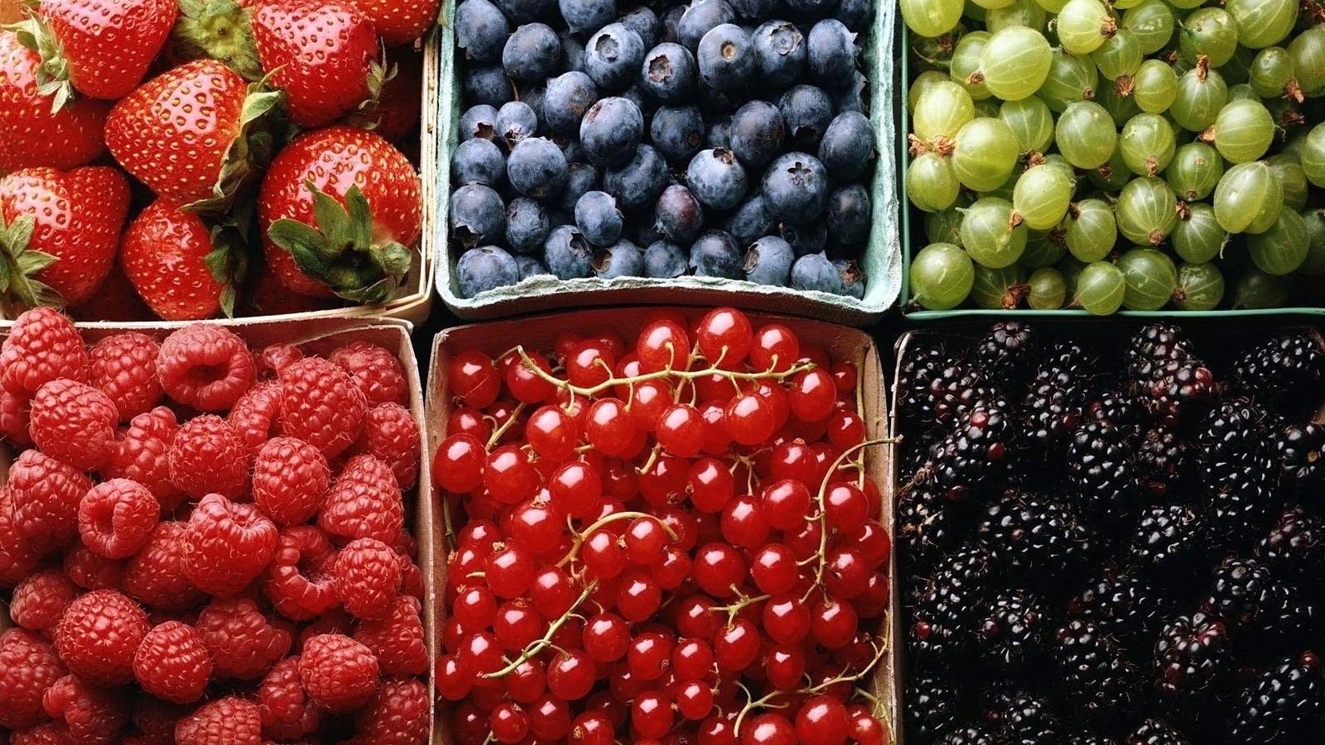 6 способов повышения урожайности ягодных культур