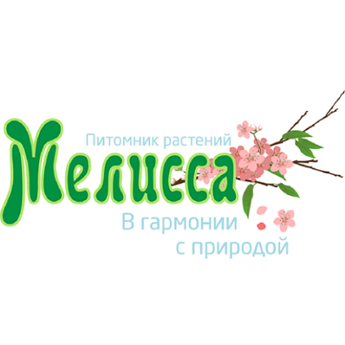 
                https://content.gdesemena.ru/images/seller/logo/16_41a1fa0c997b715156cb749aa27c557a402ca2aaebb310056bb209c58140258e.png

