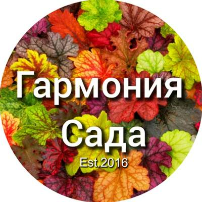 
                https://content.gdesemena.ru/images/seller/logo/36_1365b5714baf3812924855173b90b56923a07059bdbdb0bf050eba9914662c6c.png

